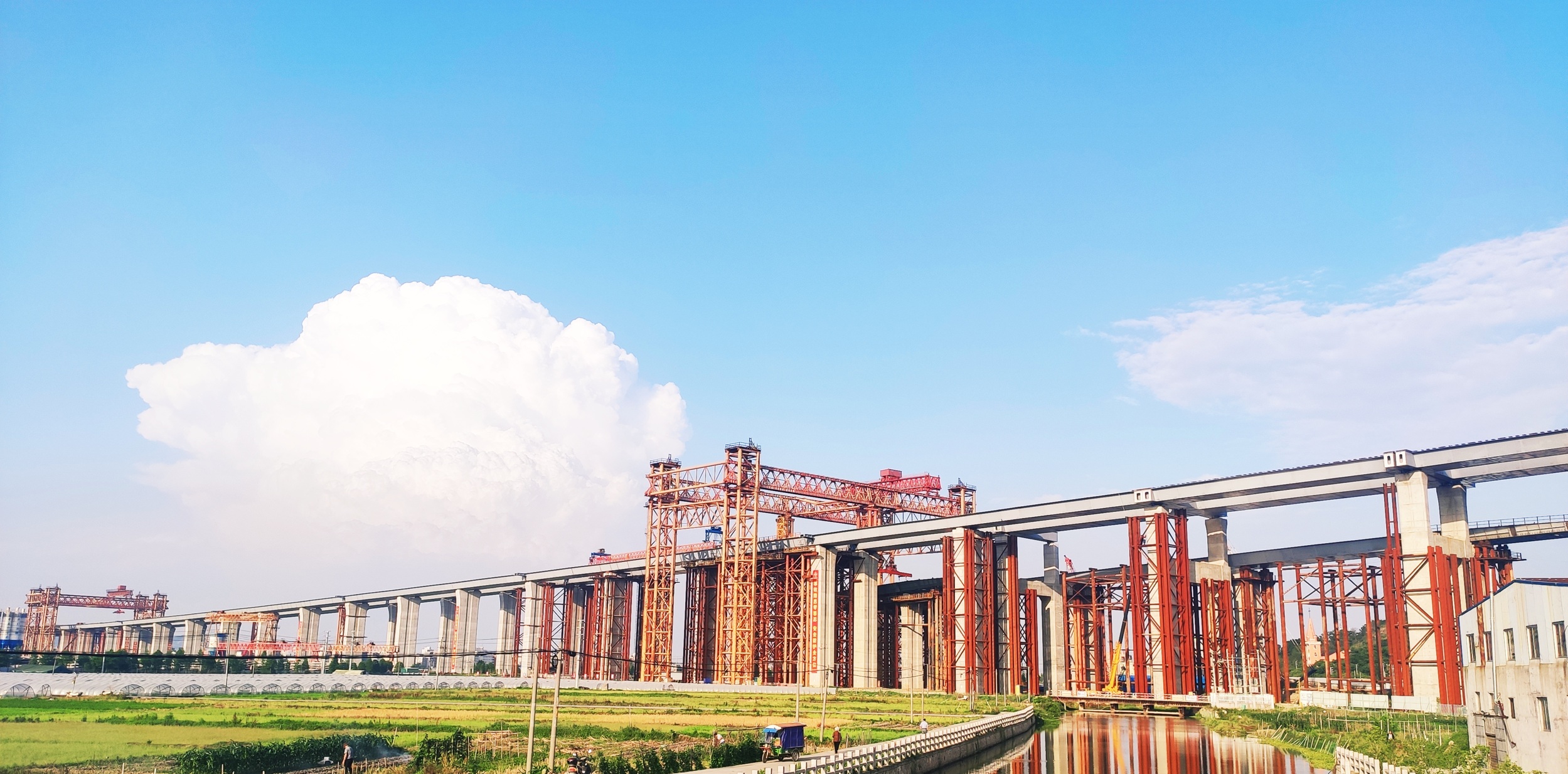 1590373363567012.jpg 1590373363567012.jpg